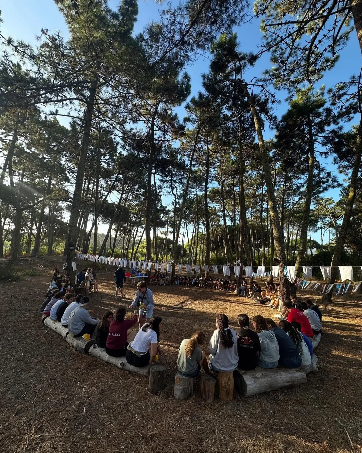 Jovens reunidos no pinhal durante o Campo ICTHUS